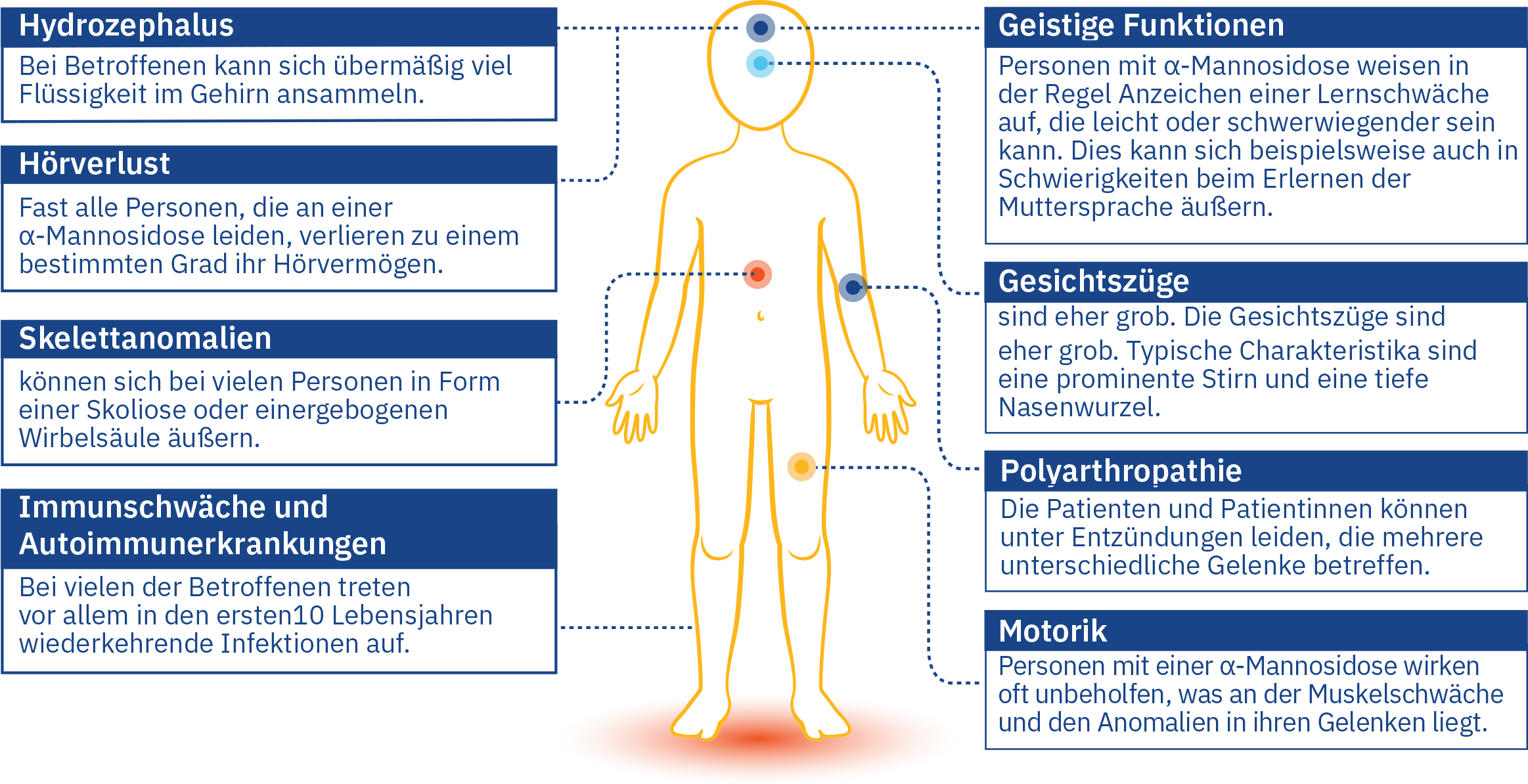 de-signs-of-alphamannosidosis